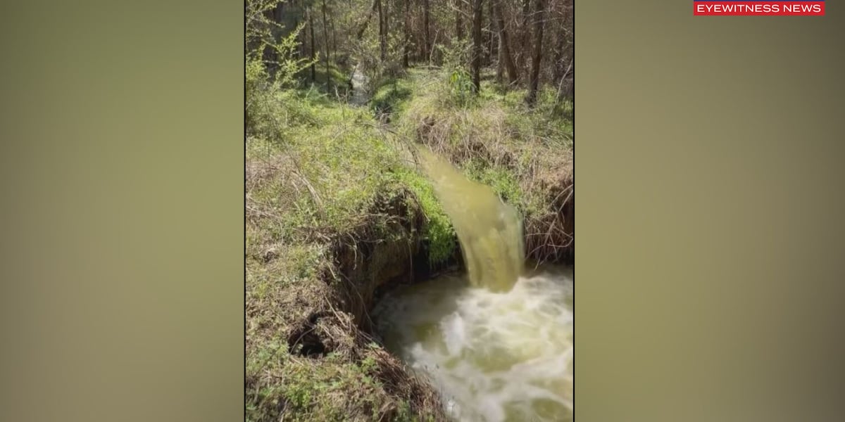 SRWMD says cannabis plant in Jefferson County violated environmental resource permit SRWMD says cannabis plant in Jefferson County violated environmental resource permit