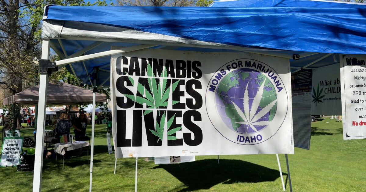 At Boise Hempfest, supporters rally for a medical cannabis initiative At Boise Hempfest, supporters rally for a medical cannabis initiative