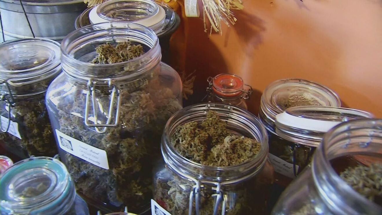New legislation expands cannabis industry in Massachusetts New legislation expands cannabis industry in Massachusetts