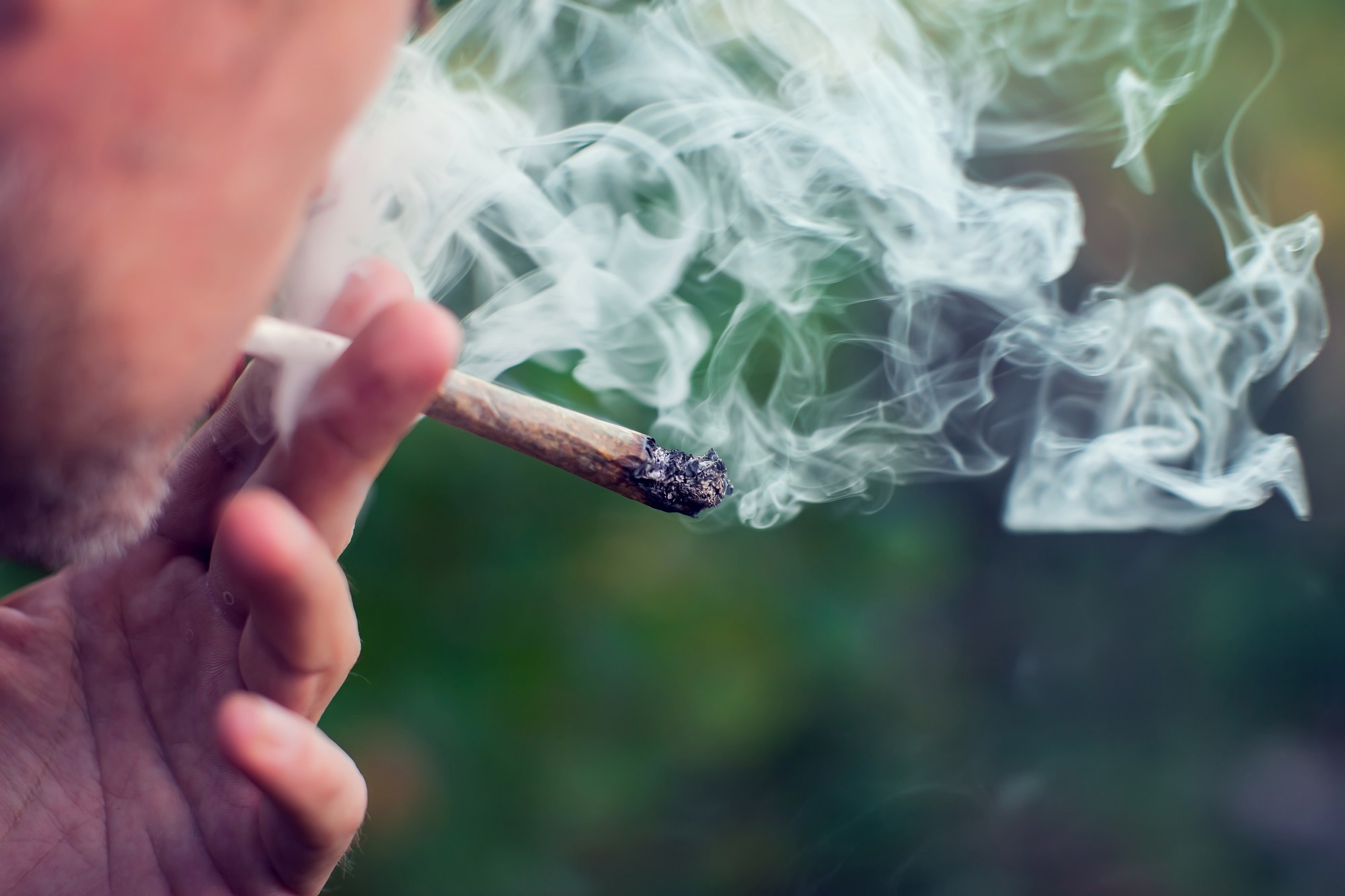 Teen cannabis use alters brain development and raises addiction risk Teen cannabis use alters brain development and raises addiction risk