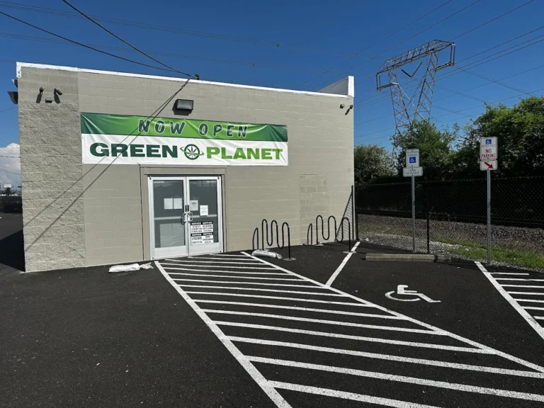 greenplanetaloha 768x576
