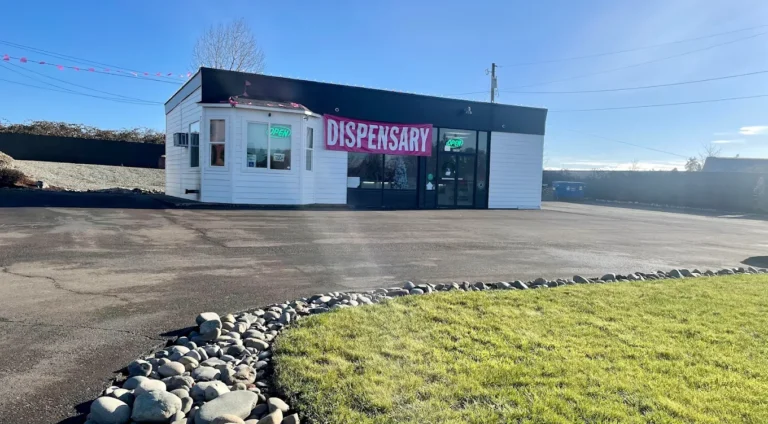 The Cannabis Shop Albany 768x424