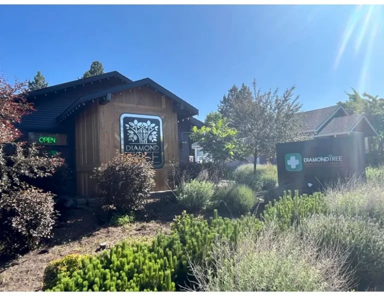 DiamondTREE NW Bend 768x593