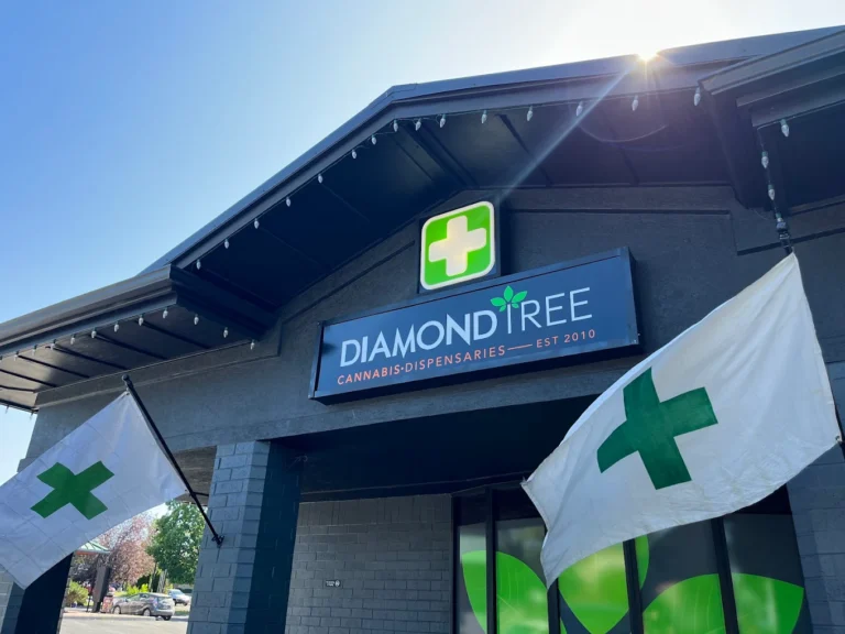 DiamondTREE E Bend 768x576