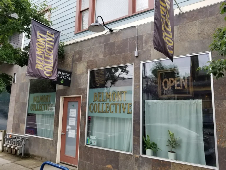 Belmont Collective 768x576