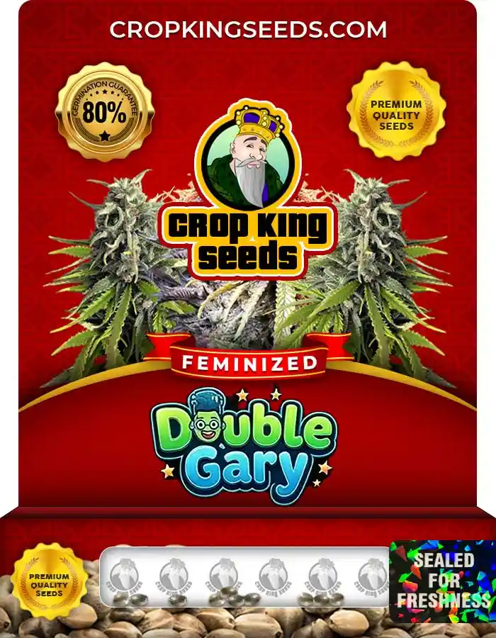 Double Gary Strain Feminized Seeds Double Gary Strain Feminized Seeds