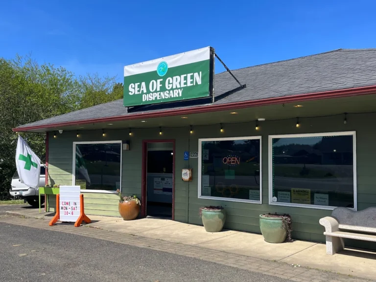 Sea of Green 768x576