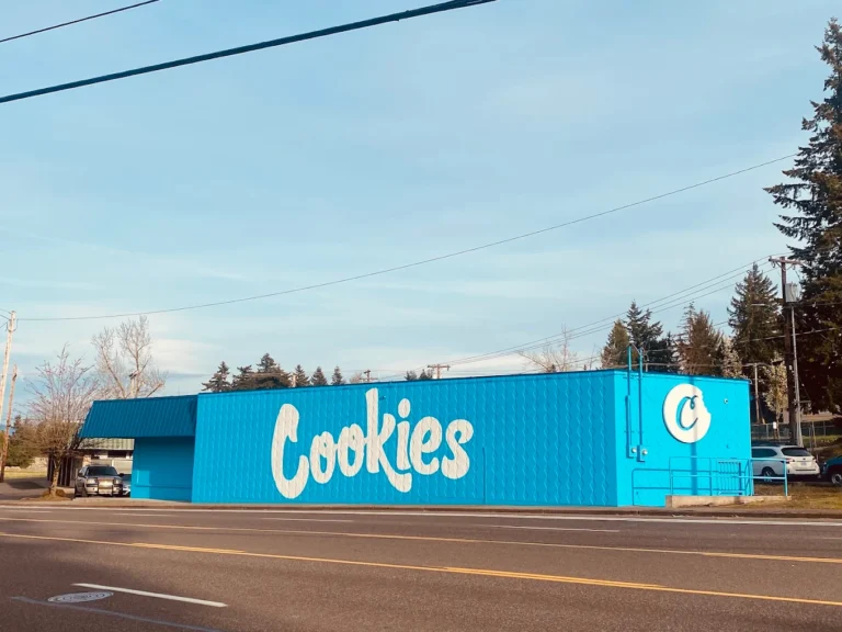 Cookies Halsey 768x576