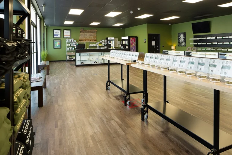 OG Collective Commercial 768x512