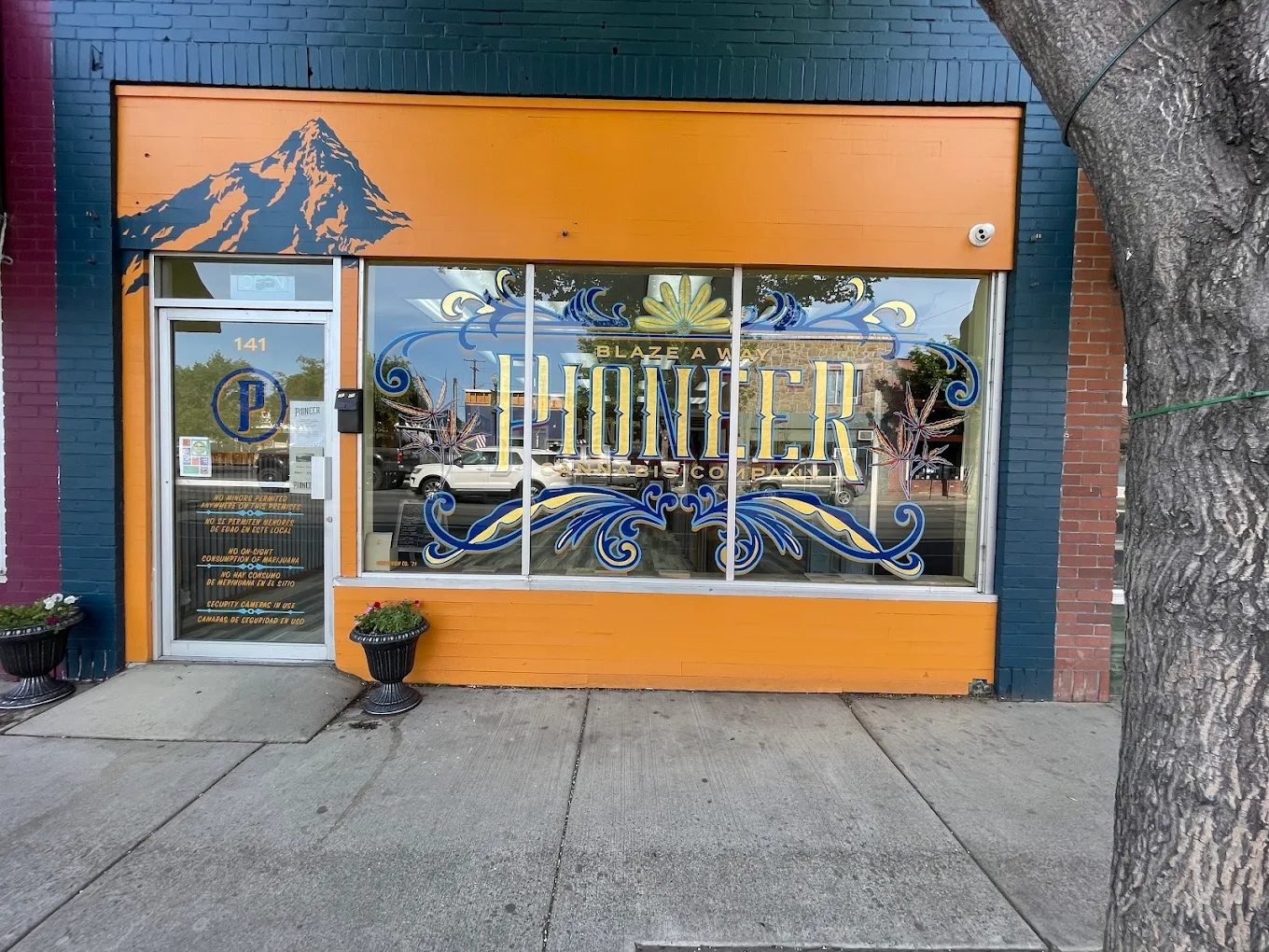 Pioneer Cannabis Co. Madras