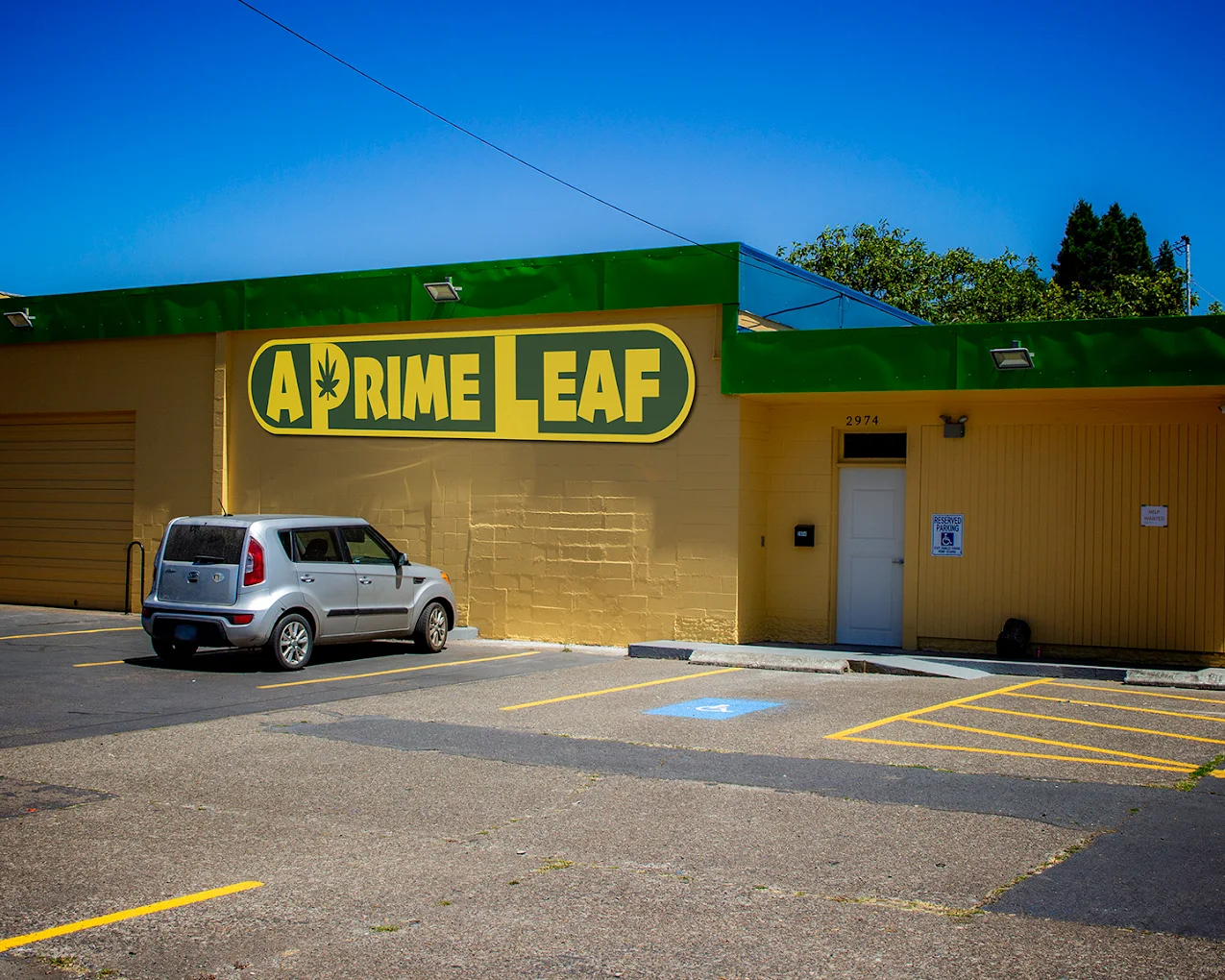 A Prime Leaf