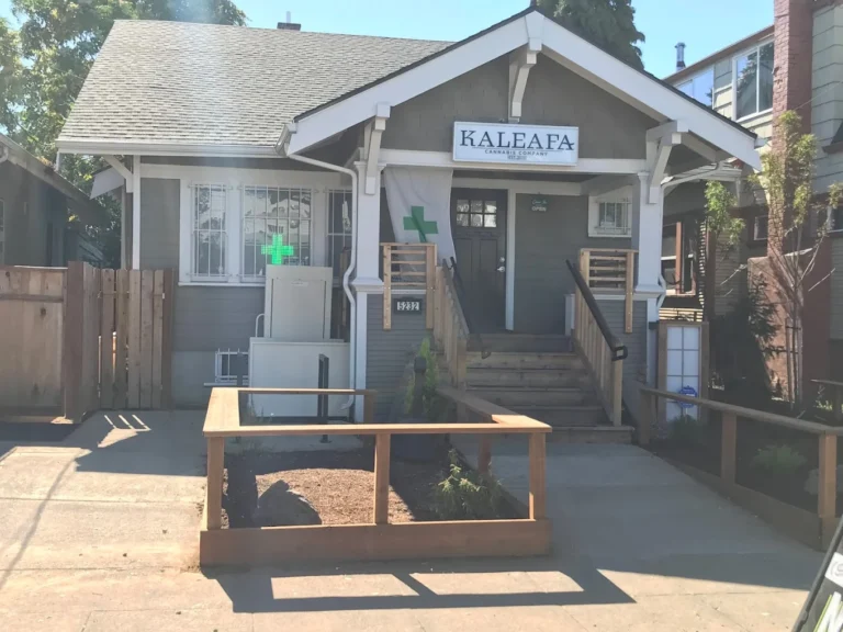 Kaleafa Woodstock 768x576