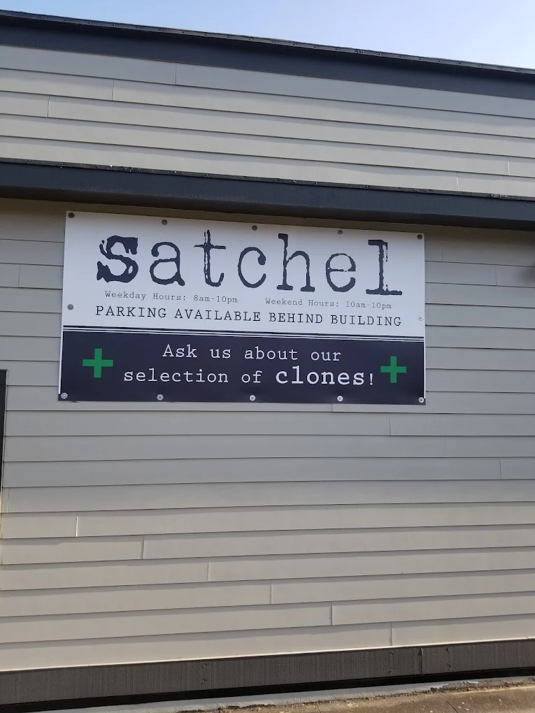 satchel