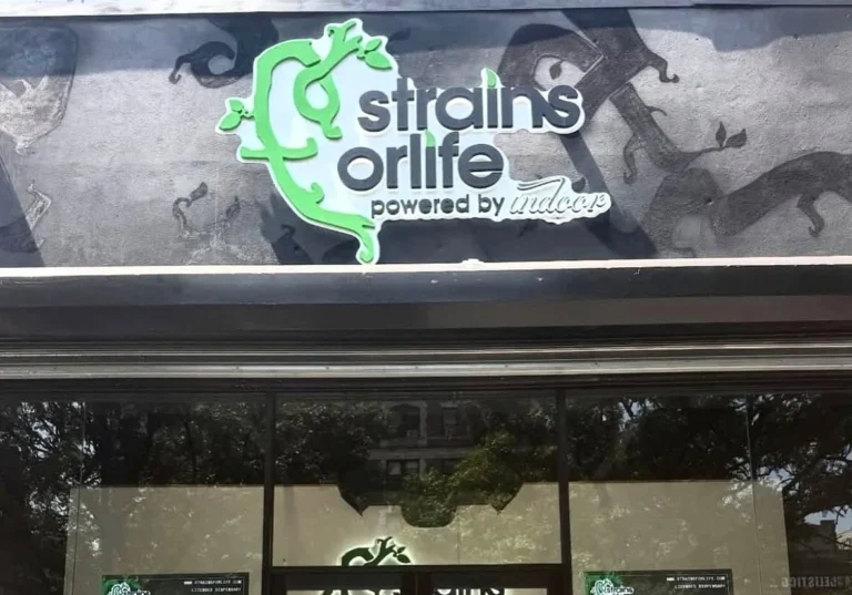Strains For Life NYC Dispensary 768x537