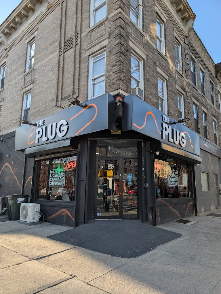 The Plug Brooklyn Dispensary