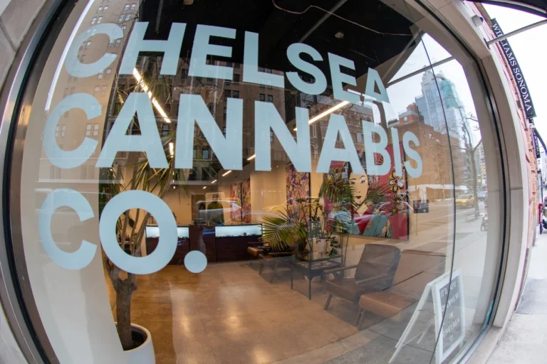 Chelsea Cannabis Co. NYC Dispensary 768x512