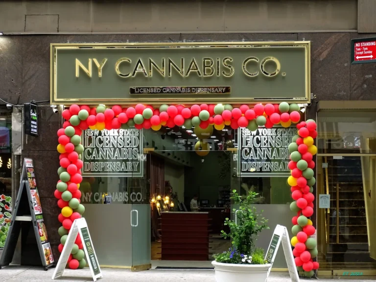 NY Cannabis Co 5th Avenue NYC Dispensary 768x576