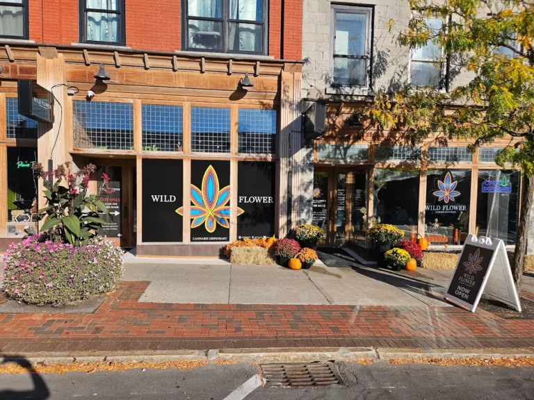 Wild Flower Dispensary 768x576