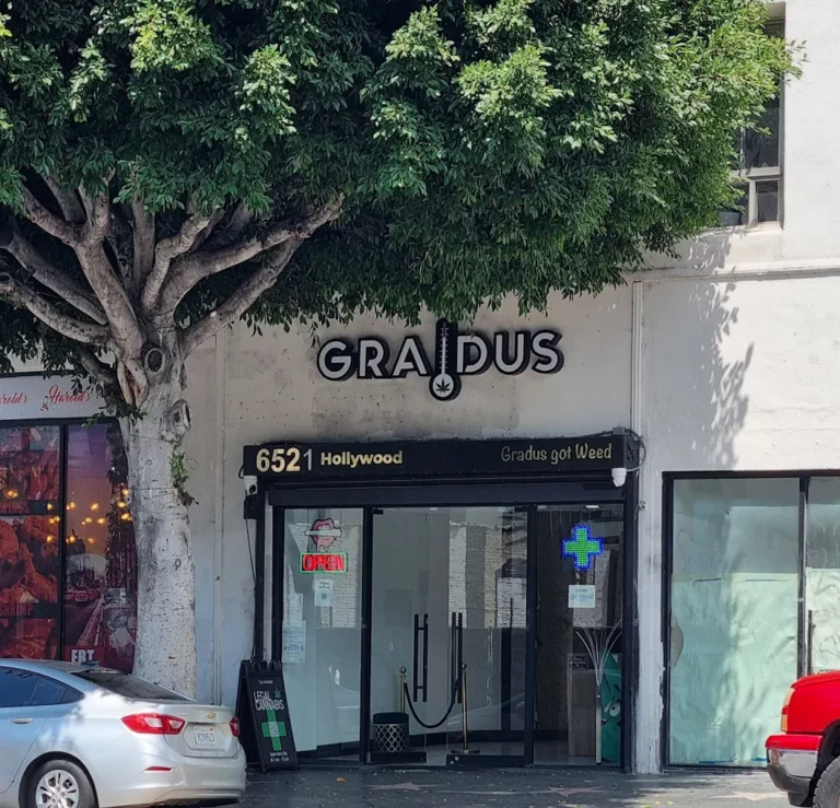 Gradus Hollywood Weed Store 768x739