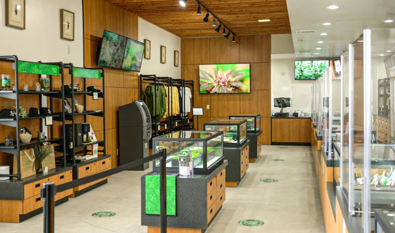 Aloha Green Herb House Airport 768x454