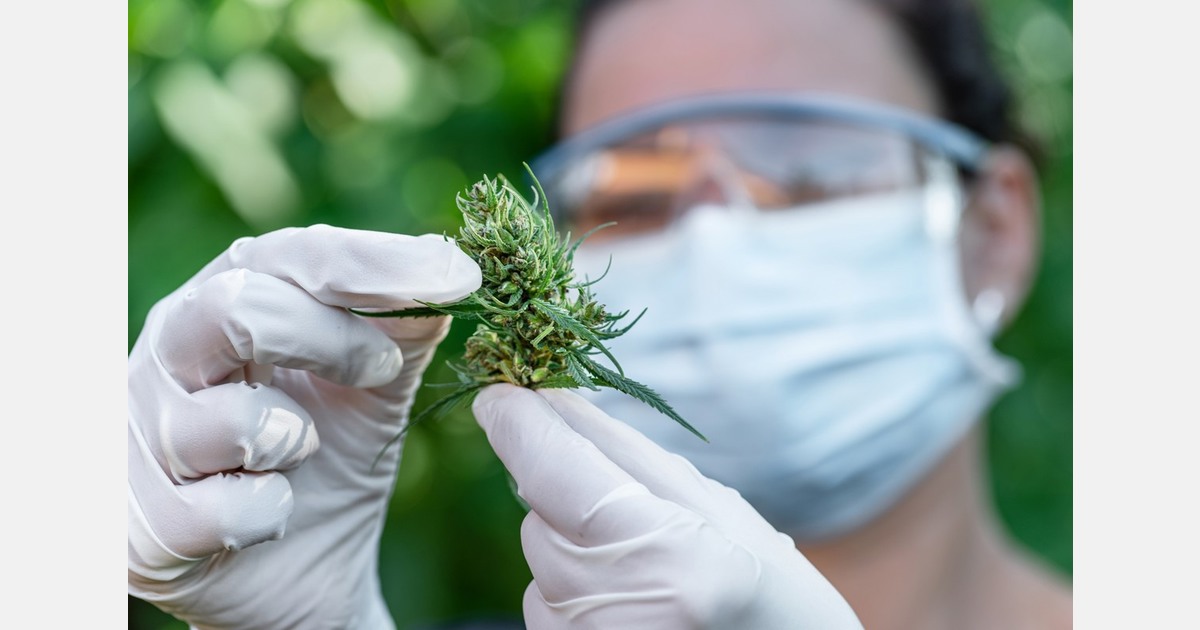 California cannabis sales reach 1 million in April, bringing 2026 total to .2 billion California cannabis sales reach 1 million in April, bringing 2026 total to .2 billion