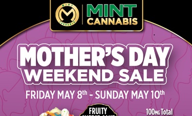 Mint Drops Jay & Silent Bob’s Banana Hammock Today – Plus Tacos, Cheese Cake & Mom’s Free Pre-Roll Mint Drops Jay & Silent Bob’s Banana Hammock Today – Plus Tacos, Cheese Cake & Mom’s Free Pre-Roll