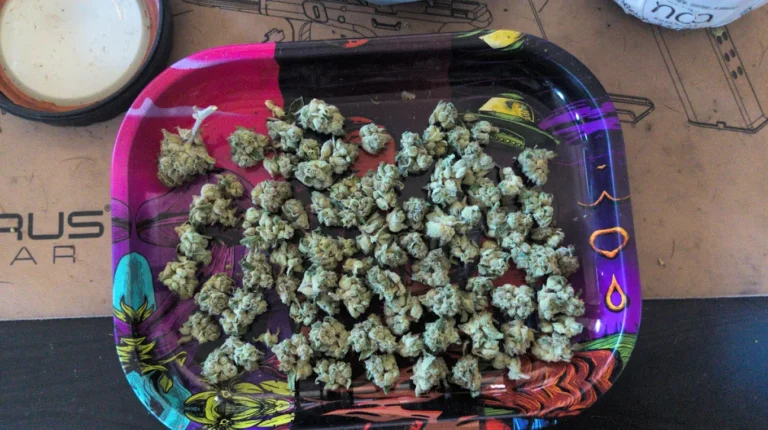 Noa Botanicals Kaneohe Dispensary 768x430