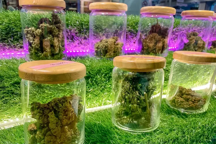 POWERFLOWERS