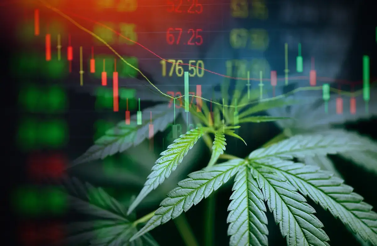 Cannabis Industry Growth Forecast: Markets Scaling The Fastest in 2026
