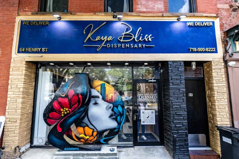 kaya bliss dispensary 768x512