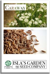 cannabis seeds