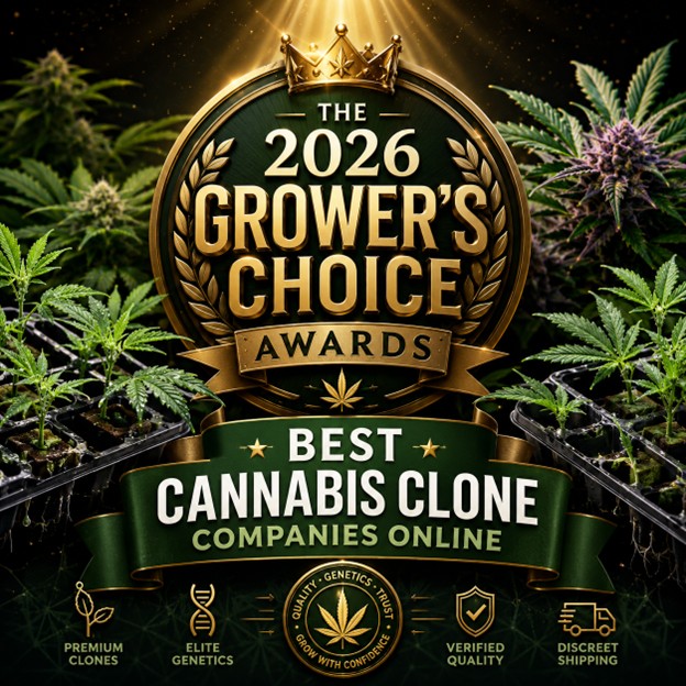 2026 Grower's Choice: Best Cannabis Clone Sites Online 2026 Grower's Choice: Best Cannabis Clone Sites Online