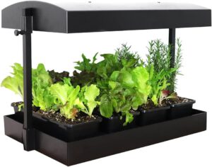 cannabis accessories growing