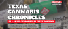 Watch: The Texas Lt. Governor Called Hemp Sellers ‘Terrorists.’ Our New Documentary Goes Inside The Fight.