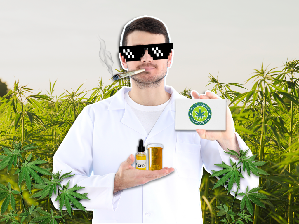 PARTICLE 101: MEDICAL MARIJUANA | Particle