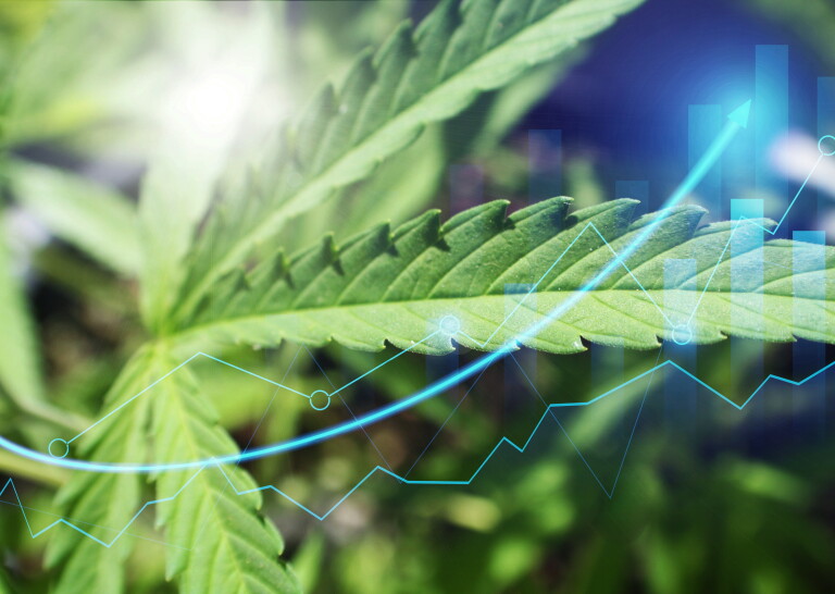 State-Level Developments Favor Cannabis Investors