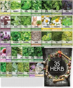 cannabis seeds