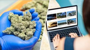 LA voters approve taxes on travel sites, cannabis shops – NBC Los Angeles