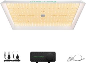 cannabis growing lights