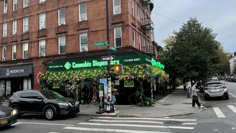 oc dispensary brooklyn 768x432