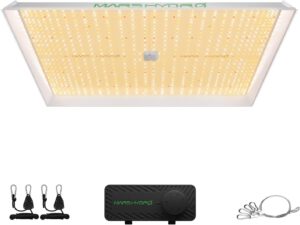 cannabis growing lights