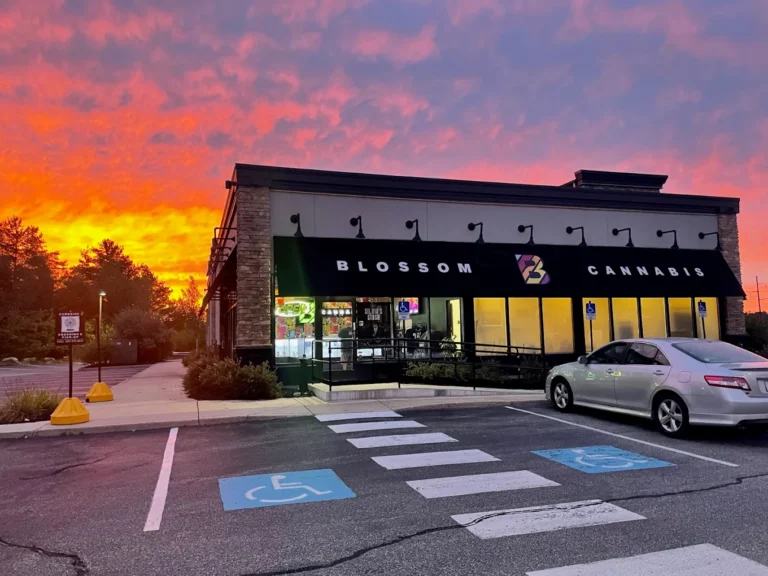 blossom cannabis biddeford 768x576