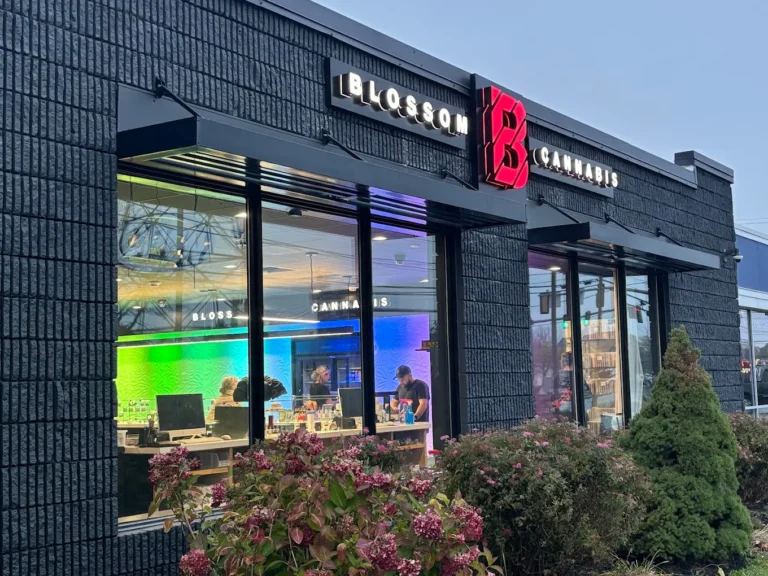 blossom cannabis south portland 768x576