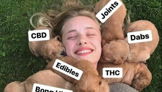 Marijuana Meme of the Day