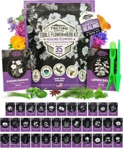 cannabis seeds