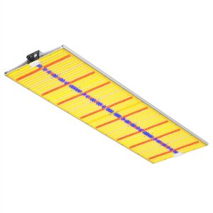 cannabis accessories growing
