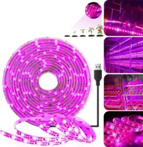 cannabis growing lights