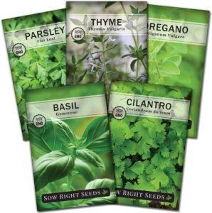 cannabis seeds