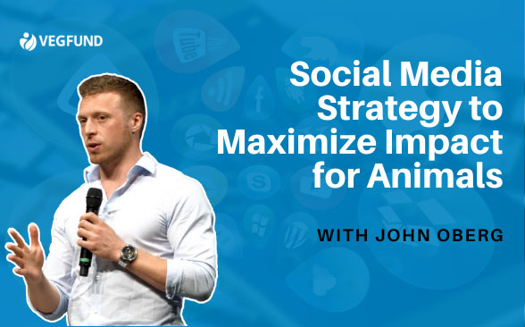 Webinar
