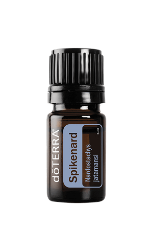 Spikenard